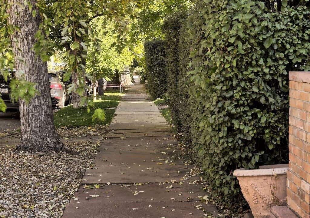 Photo of Outdoor in Congress Park