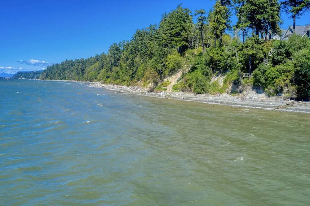 Photo of Others in Beach Haven