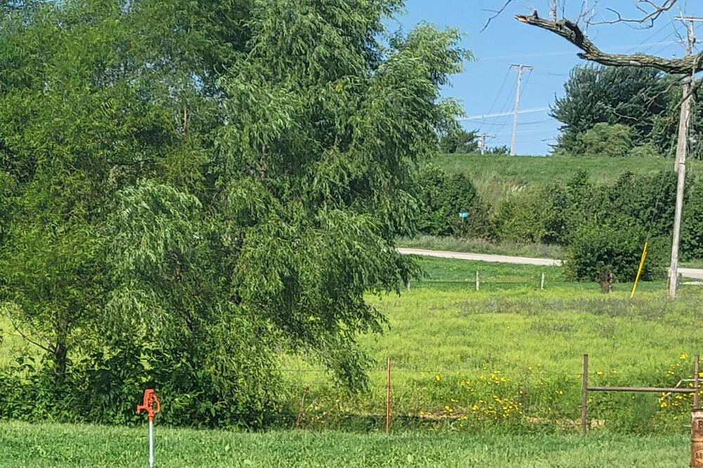 Photo of Outdoor in Maryville