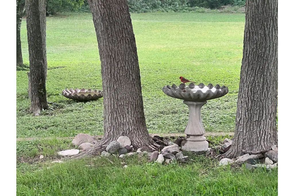 Photo of Outdoor in Laguna Park