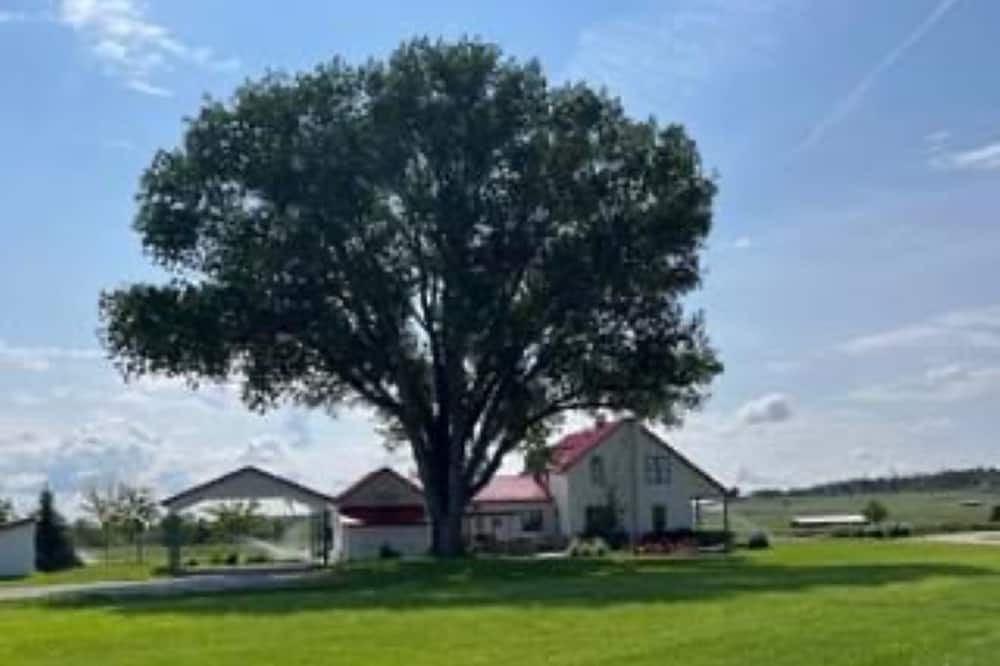 Photo of Others in Wheatland