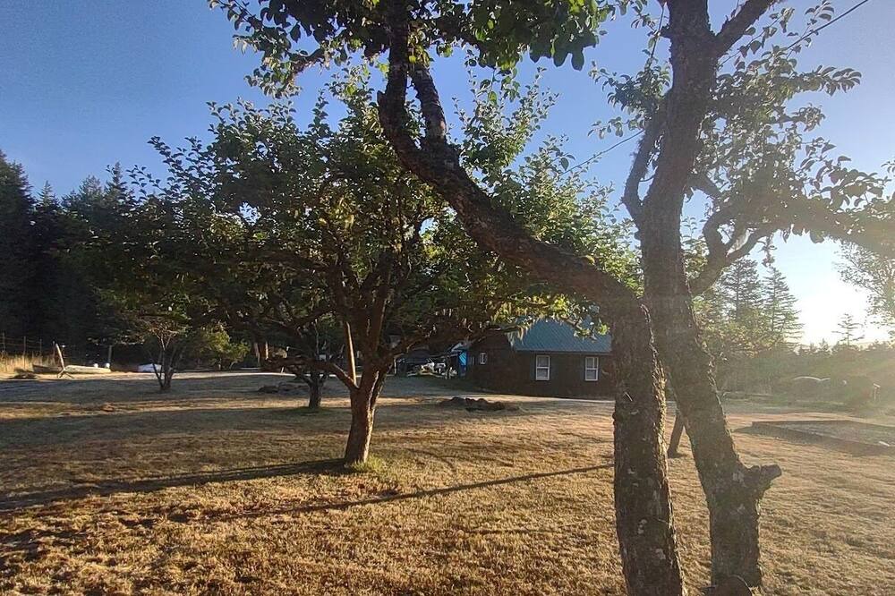 Photo of Outdoor in Lopez Island