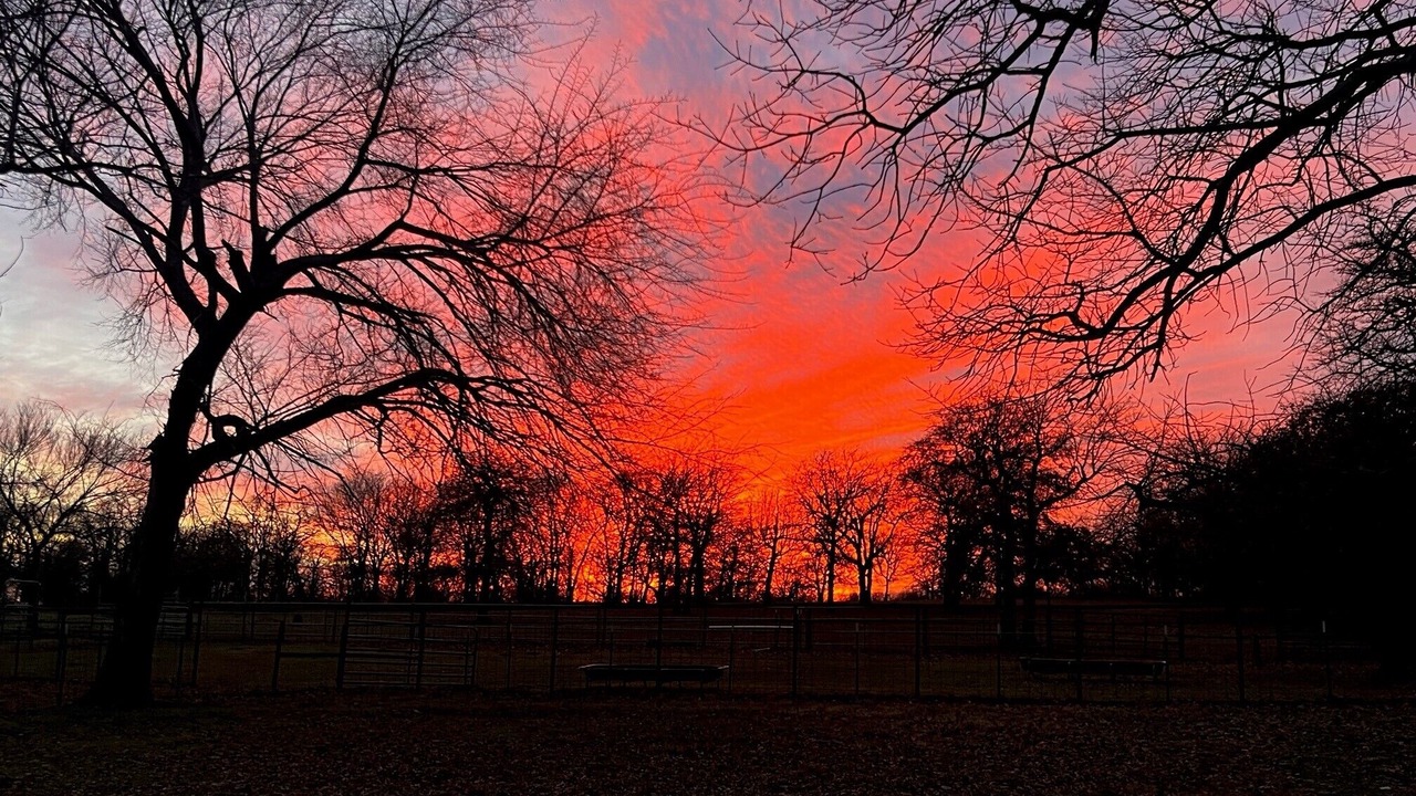 Photo of Outdoor in Katie