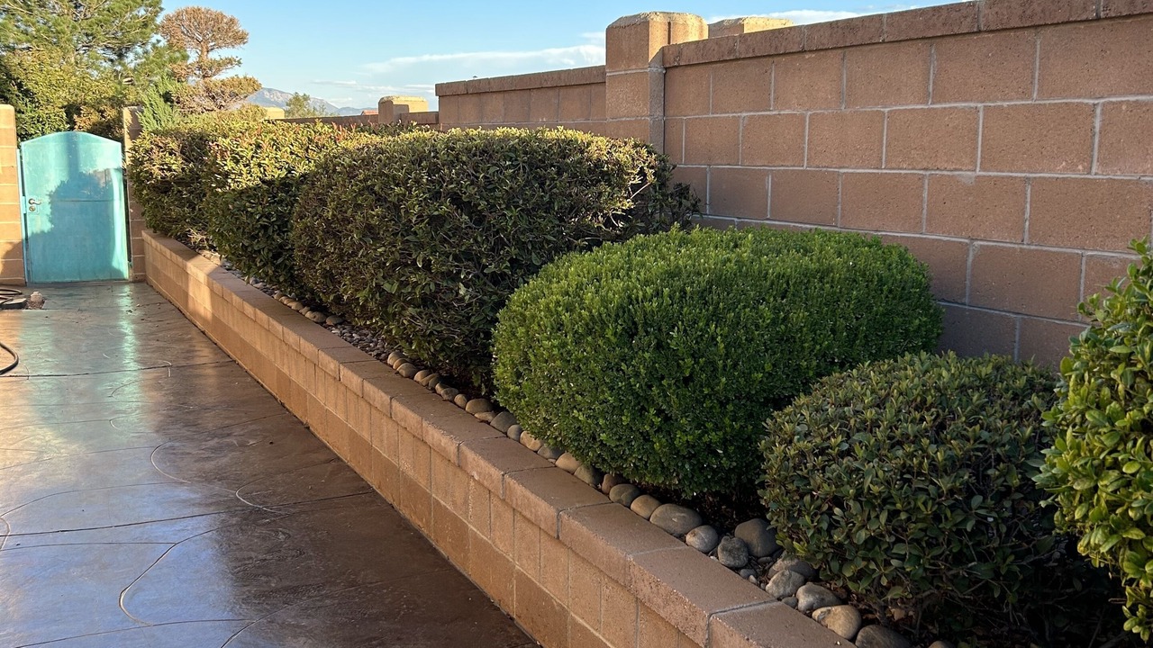 Photo of Outdoor in Taylor Ranch