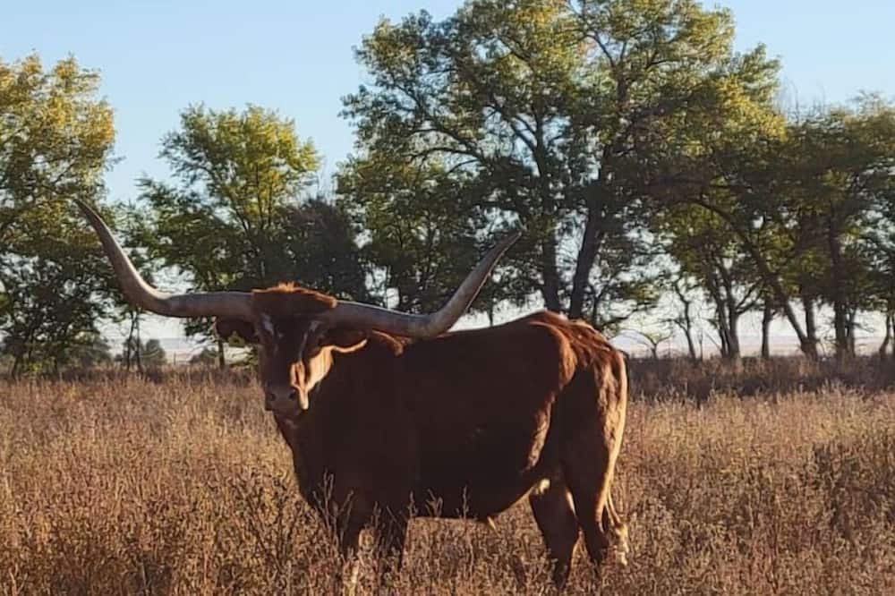 Photo of Outdoor in Crowley County