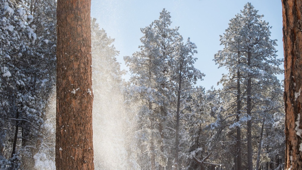 Photo of Outdoor in Colorado Springs