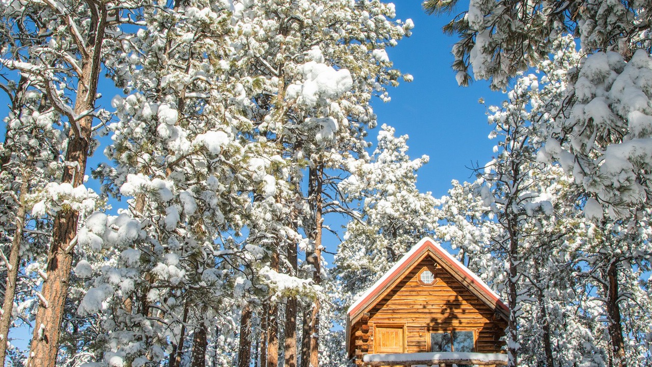 Photo of Outdoor in Colorado Springs