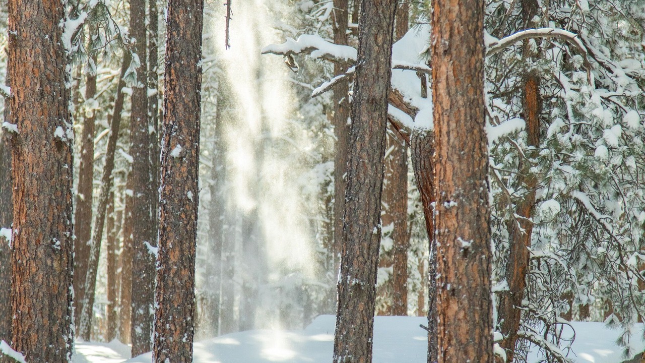Photo of Outdoor in Colorado Springs