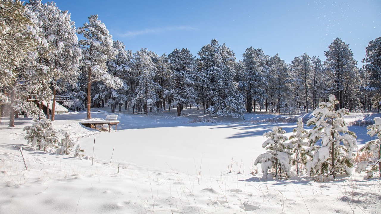 Photo of Outdoor in Colorado Springs