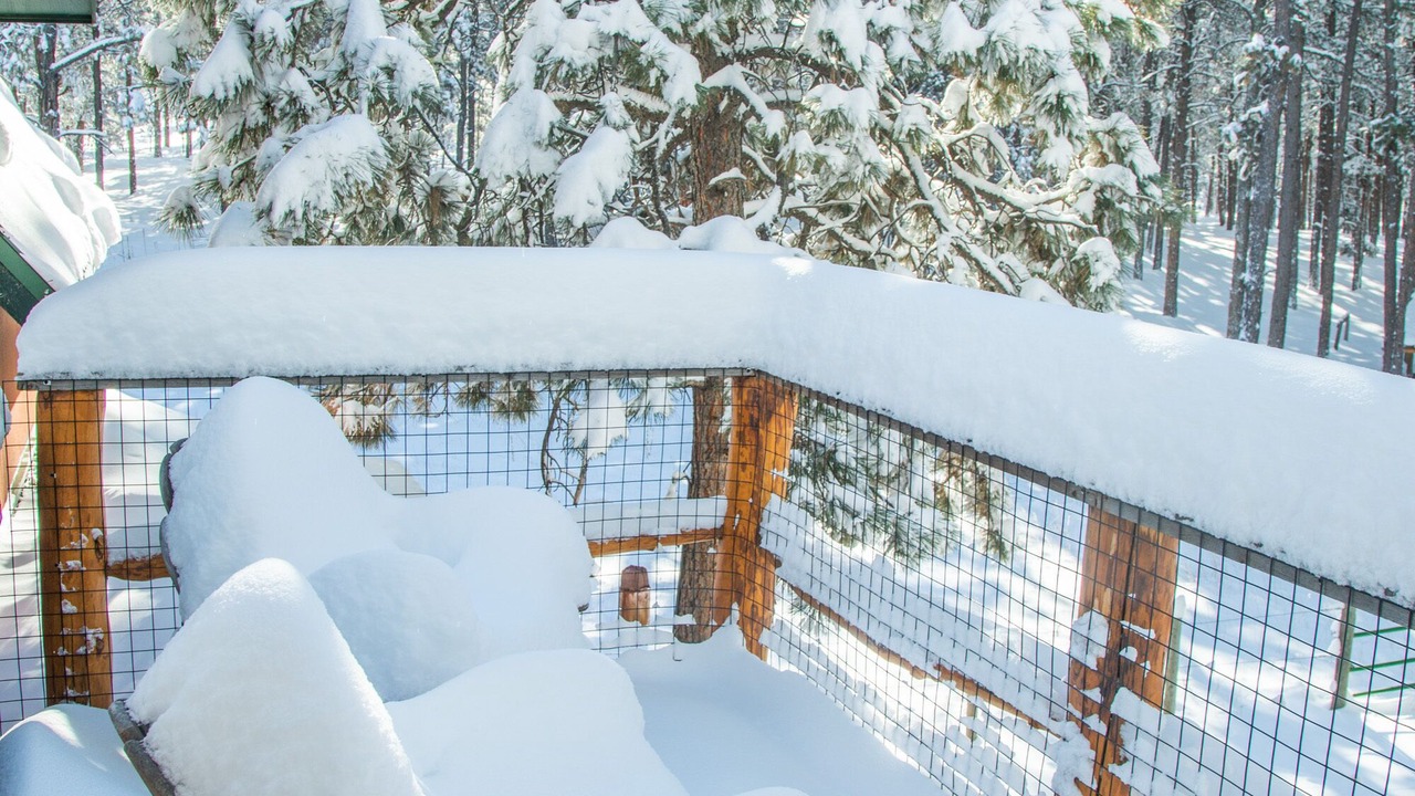 Photo of Outdoor in Colorado Springs