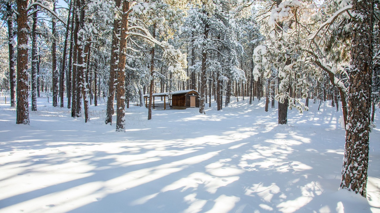 Photo of Outdoor in Colorado Springs