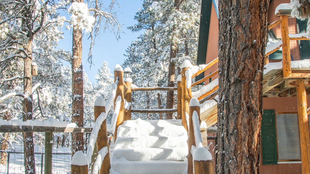 Photo of Outdoor in Colorado Springs