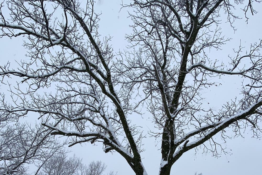 Photo of Outdoor in Washington County