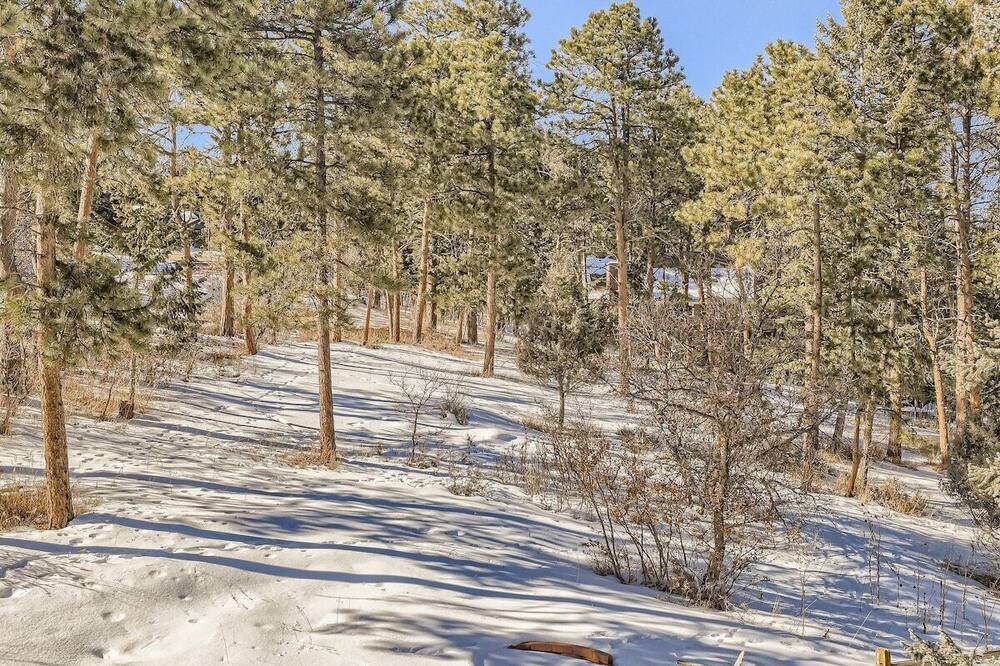 Photo of Outdoor in Morrison