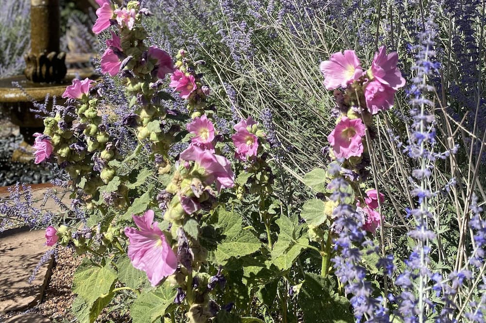 Photo of Outdoor in Taylor Ranch
