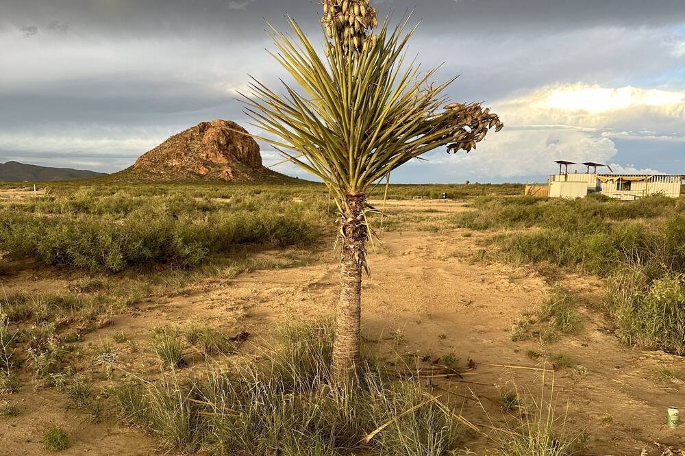 Photo of Others in Terlingua