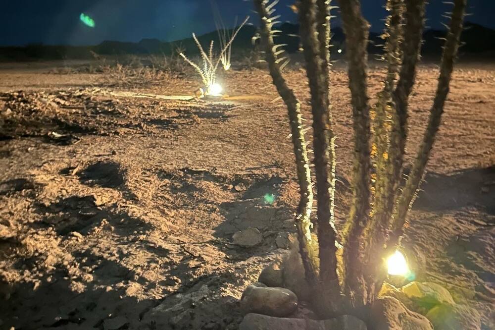Photo of Others in Terlingua