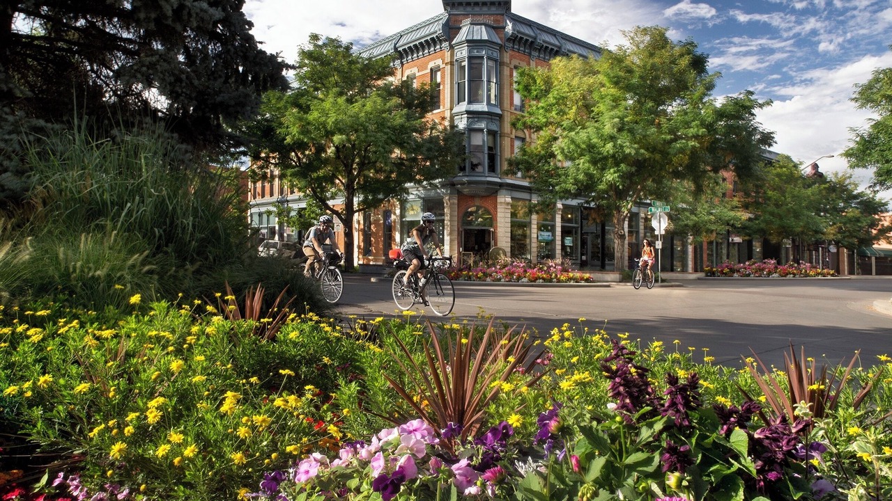 Photo of Others in Fort Collins
