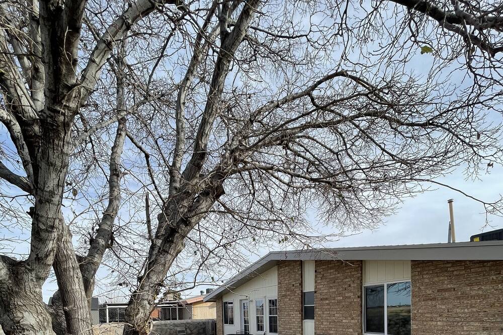 Photo of Outdoor in Northeast El Paso