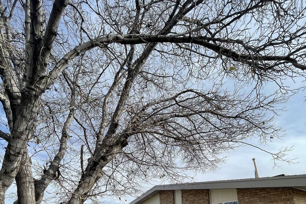 Photo of Outdoor in Northeast El Paso
