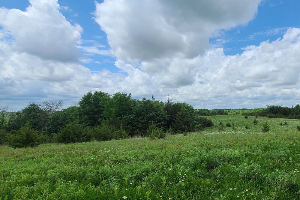 Photo of Outdoor in Union County