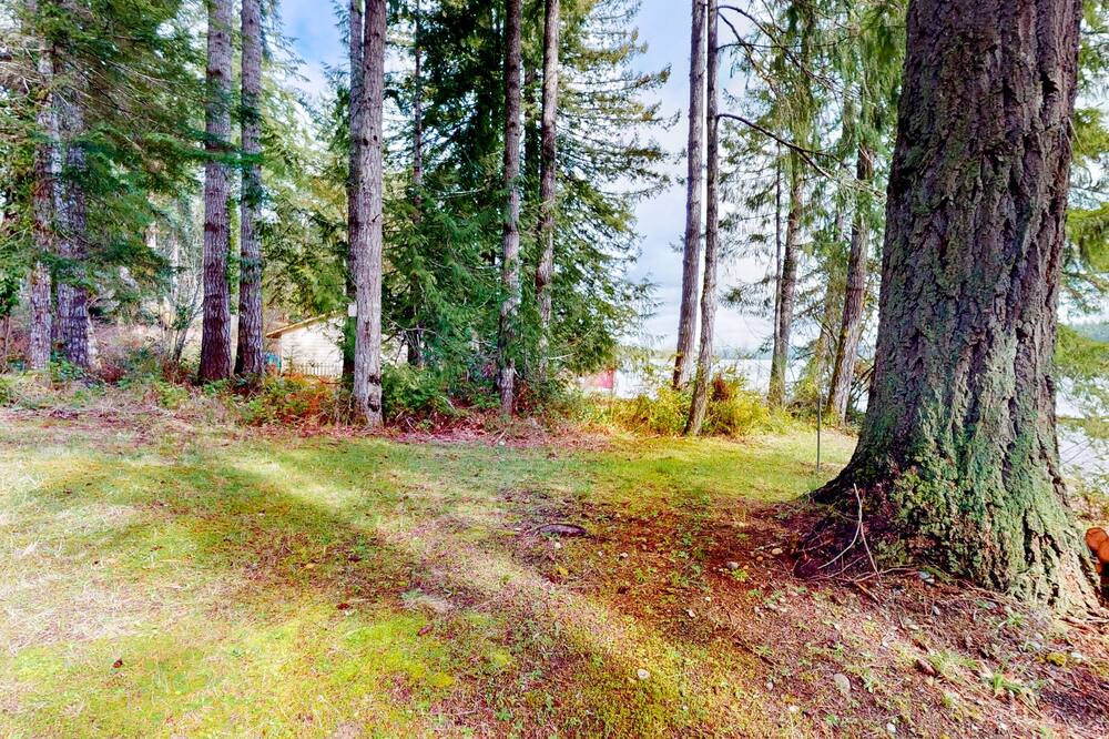 Photo of Others in Shelton
