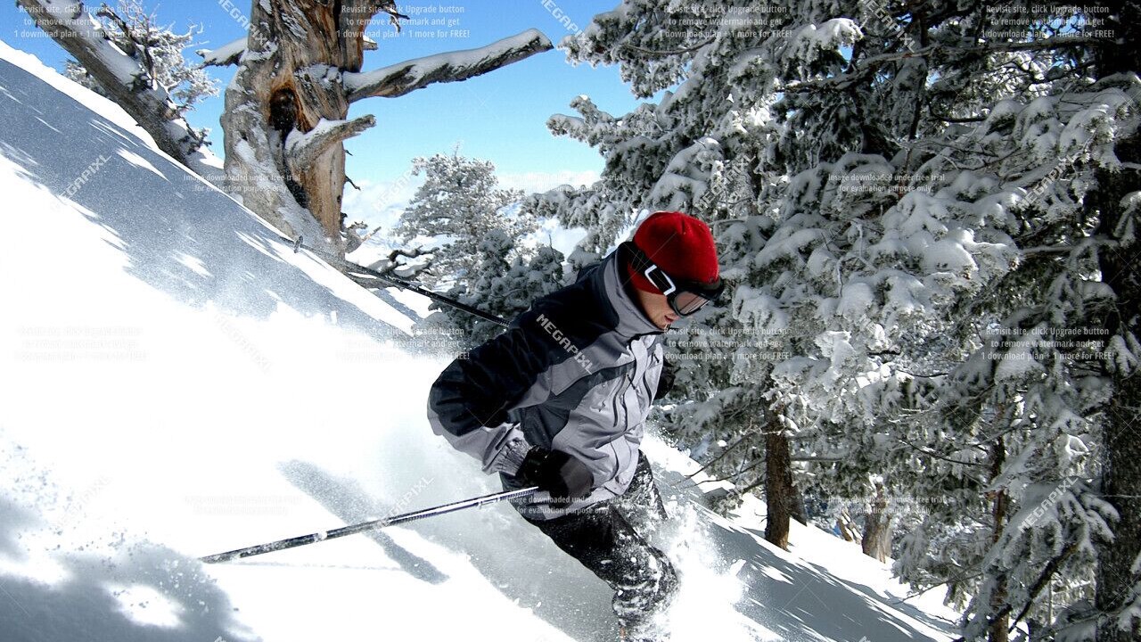 Photo of Others in North Powder