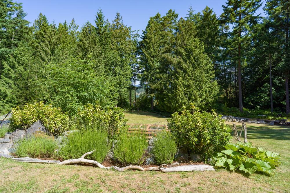 Photo of Others in Lopez Island