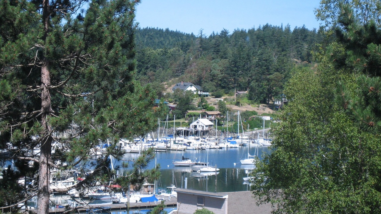 Photo of Outdoor in Deer Harbor