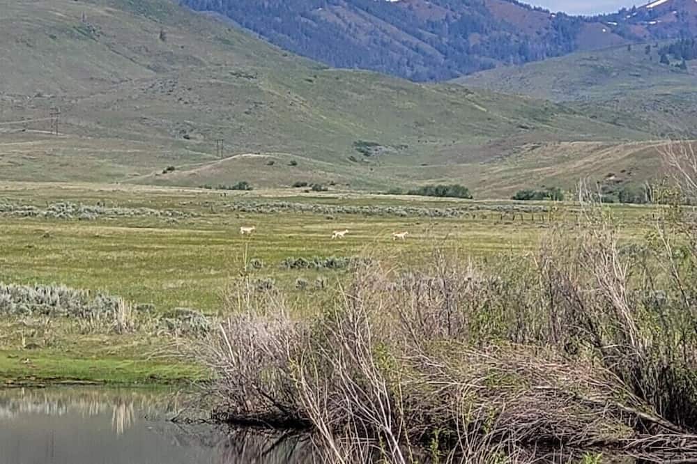 Photo of Others in Washington County