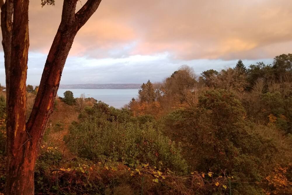 Photo of Others in Vashon Island
