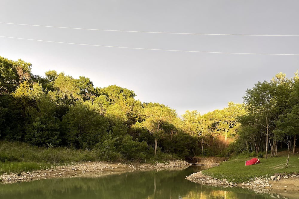 Photo of Others in Lake Bridgeport