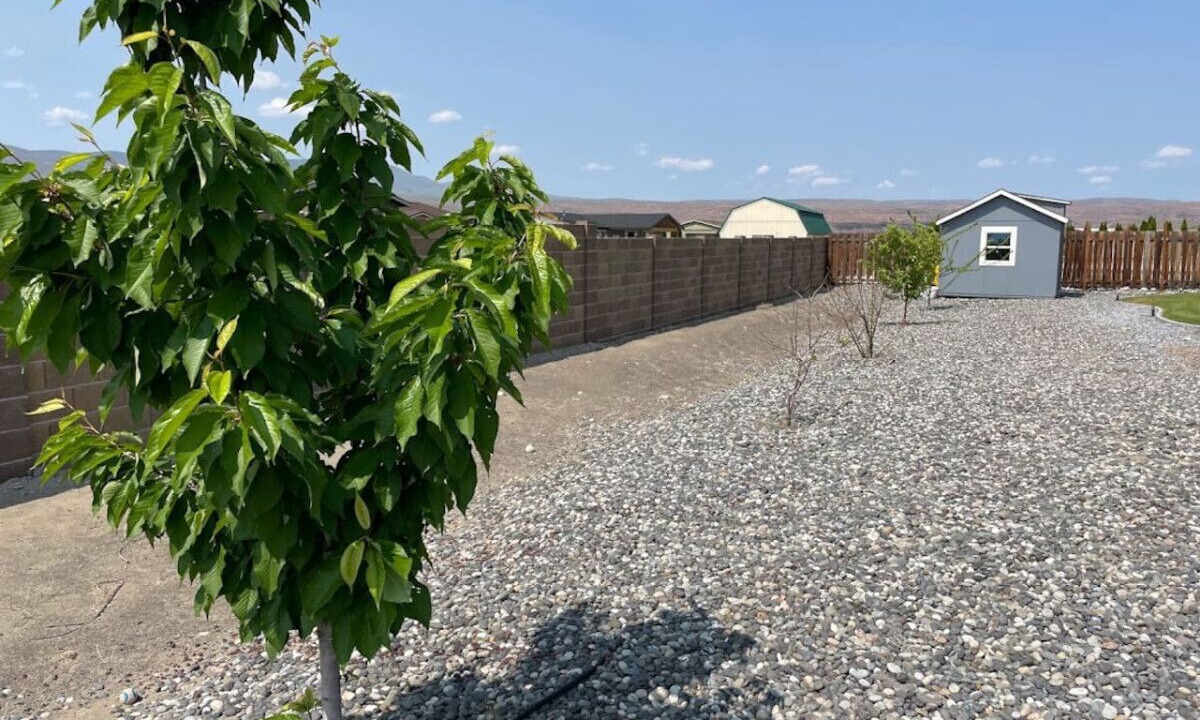 Photo of Outdoor in Desert Aire