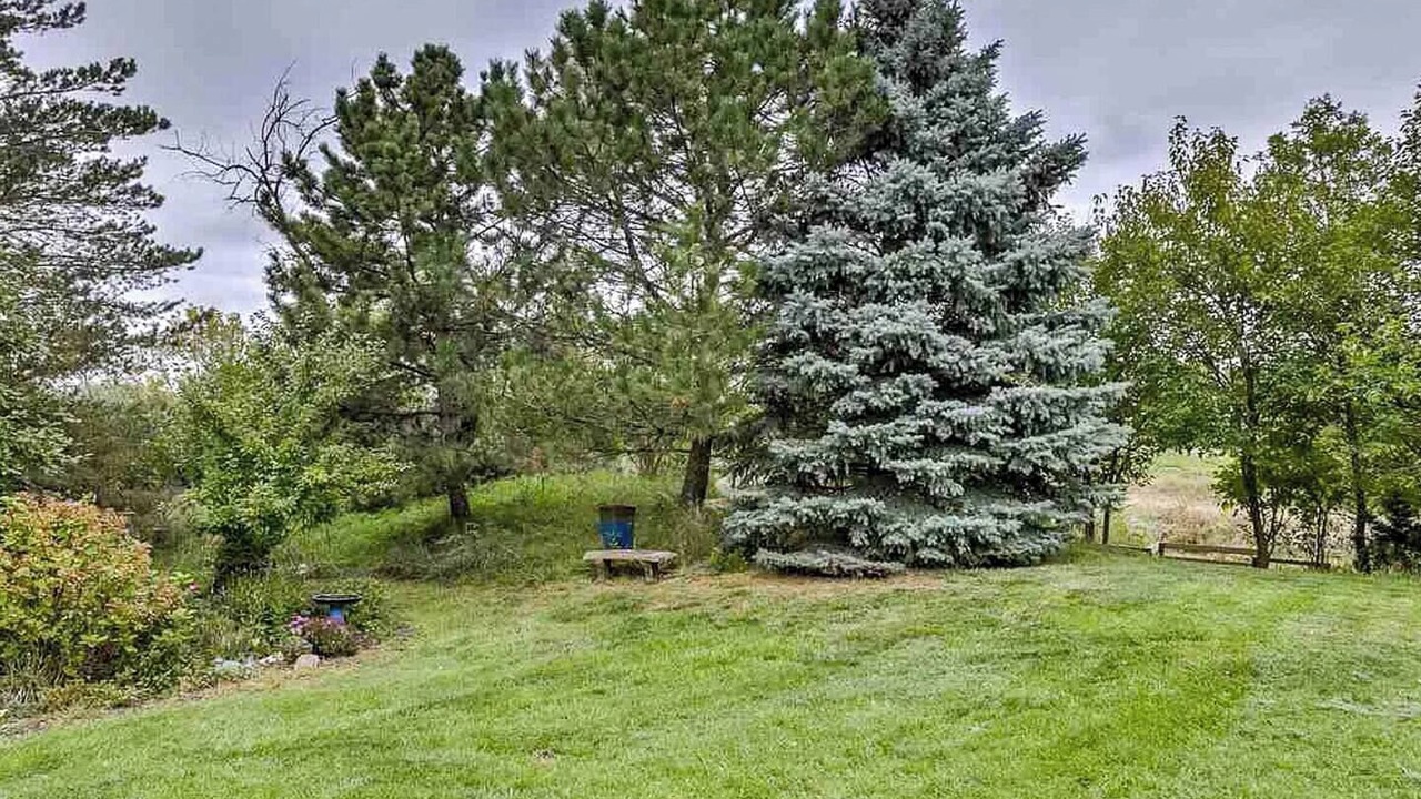 Photo of Outdoor in Capitol Beach