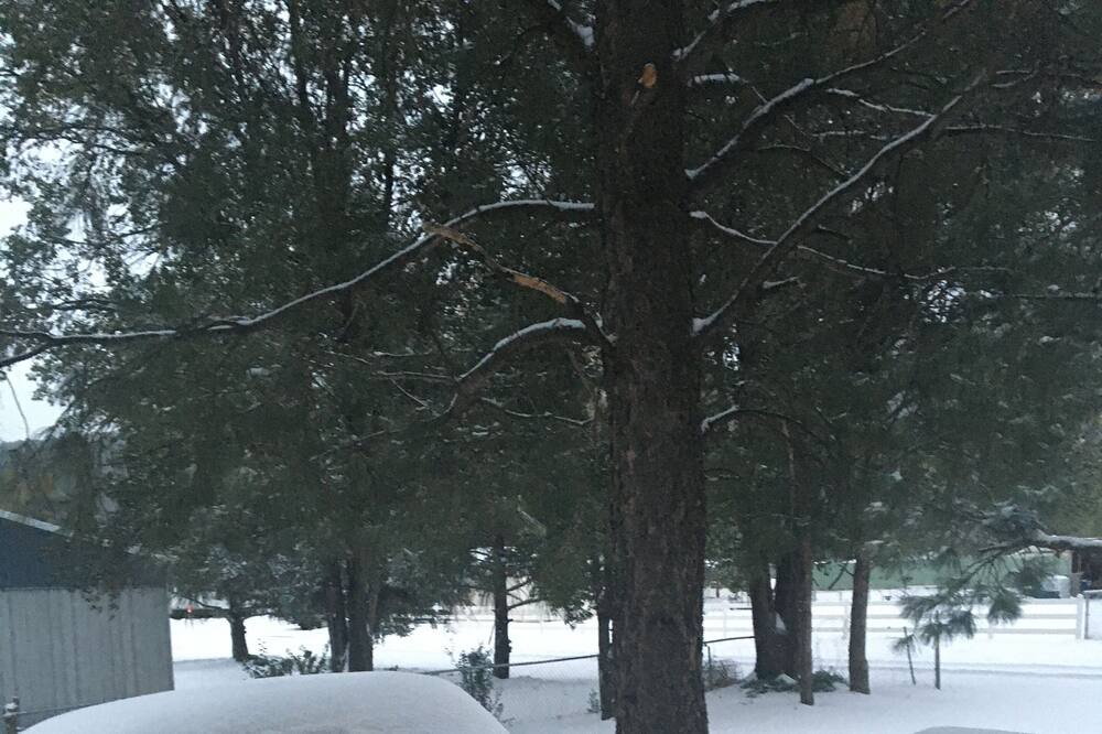 Photo of Others in Ruidoso Downs