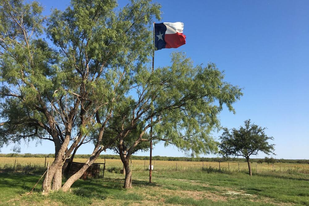 Photo of Outdoor in Sylvester