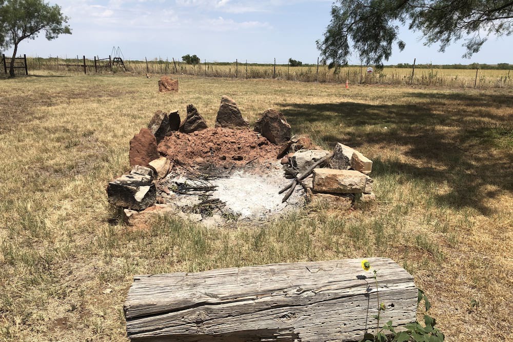 Photo of Outdoor in Sylvester