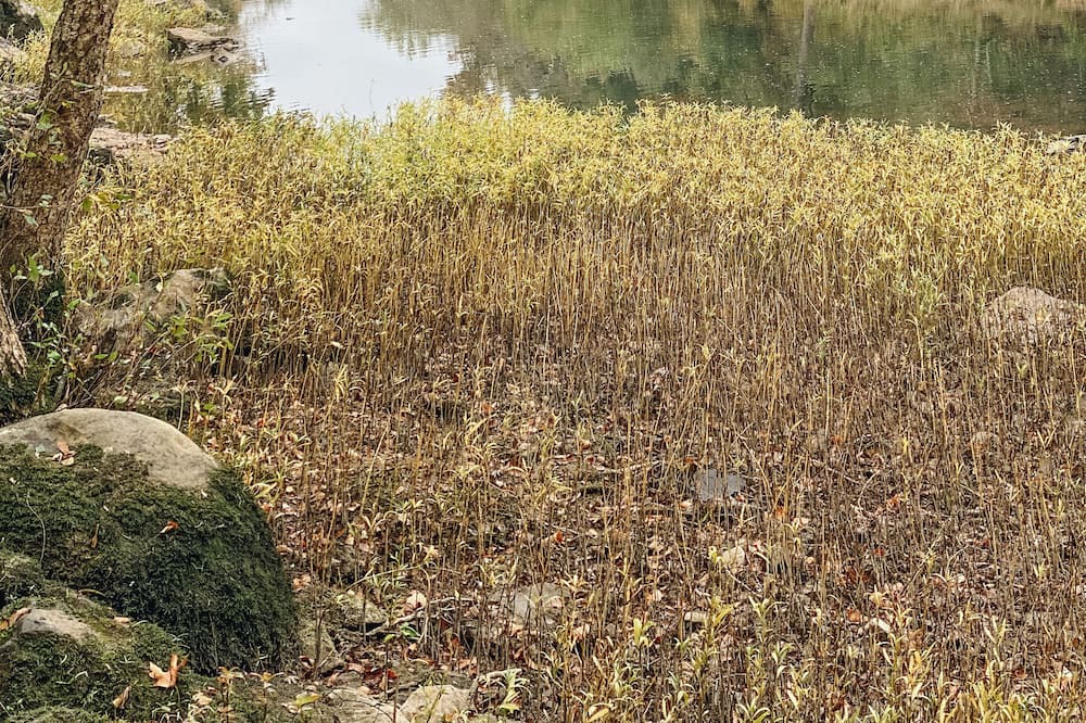 Photo of Outdoor in Nashoba