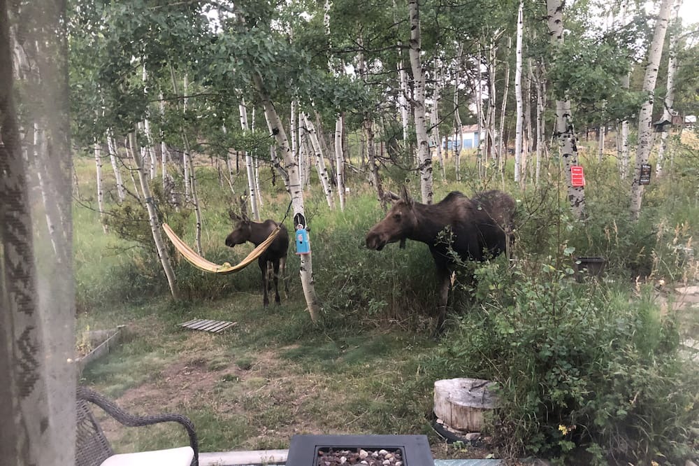 Photo of Outdoor in Red Feather Lakes