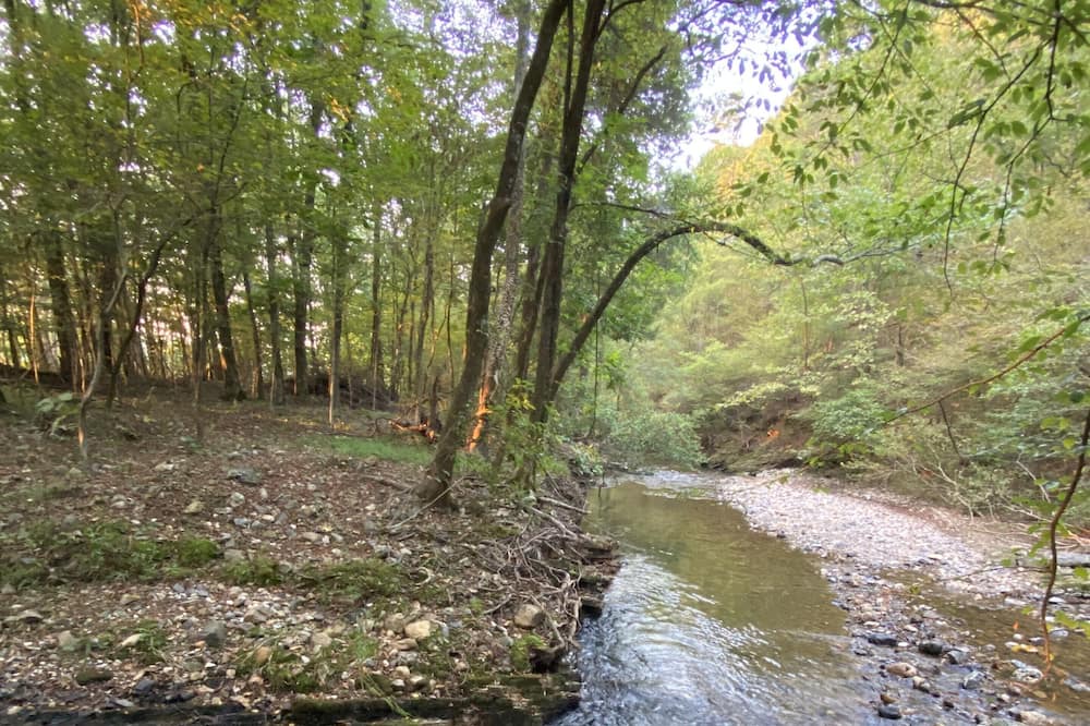 Photo of Outdoor in Pine Ridge