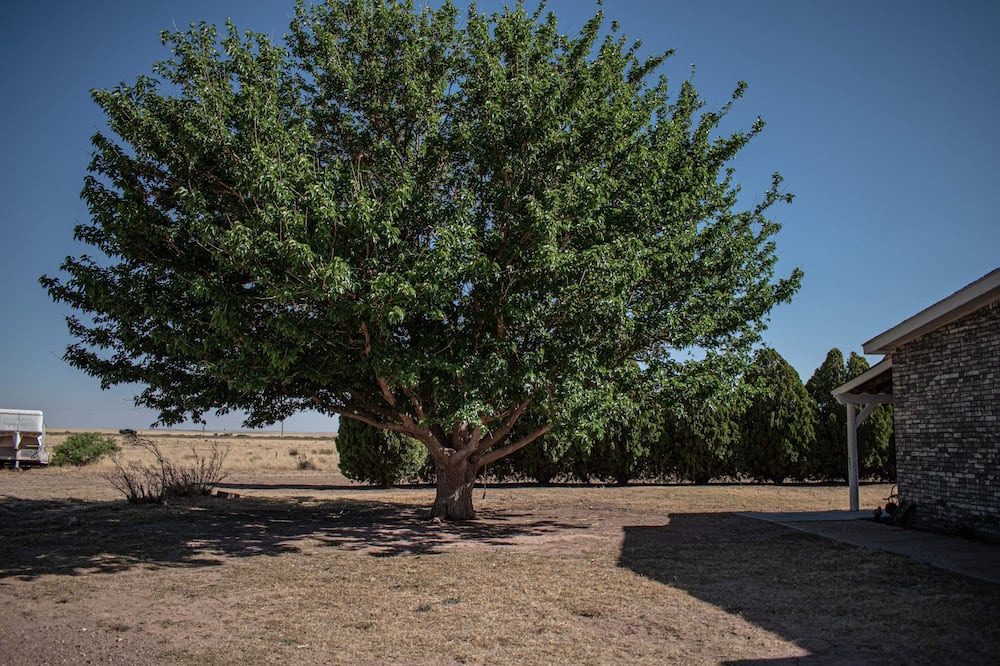 Photo of Outdoor in Taiban