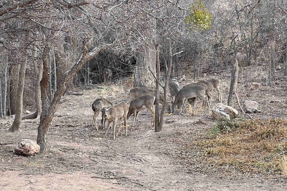 Photo of Others in Ransom Canyon
