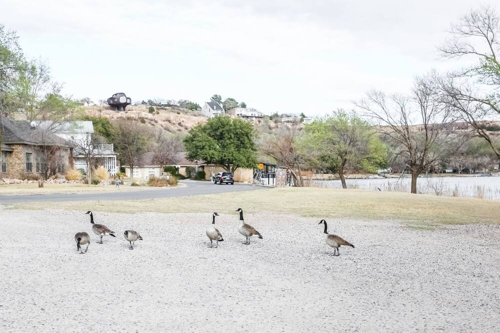 Photo of Others in Ransom Canyon