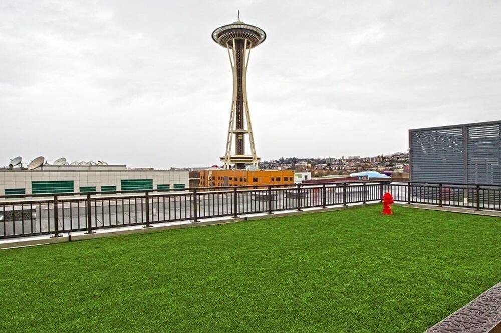 Photo of Others in South Lake Union