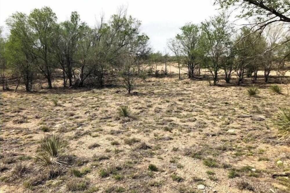 Photo of Others in Amarillo
