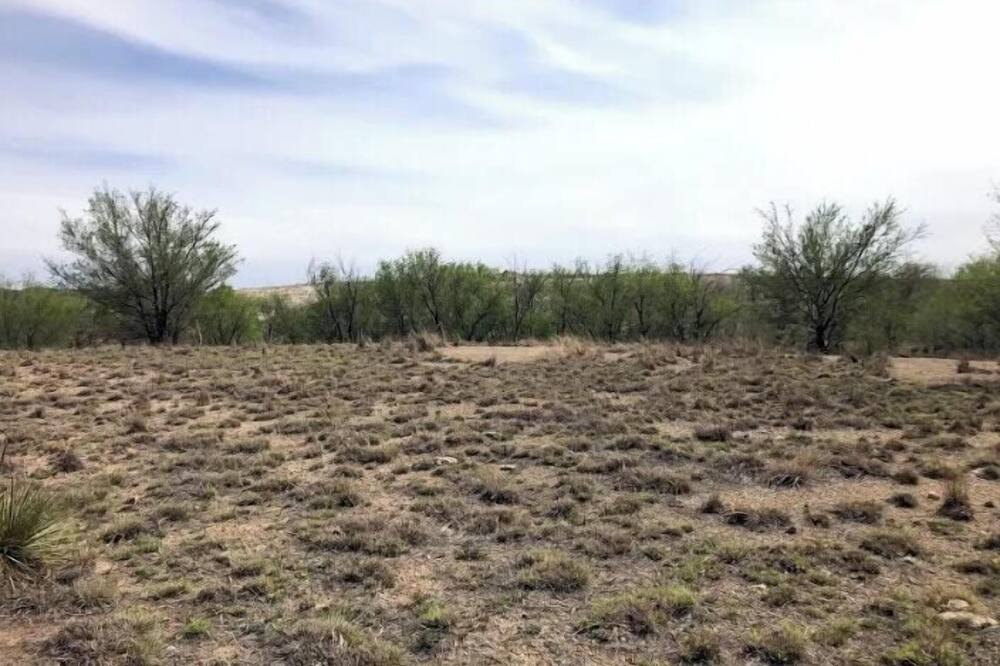 Photo of Others in Amarillo