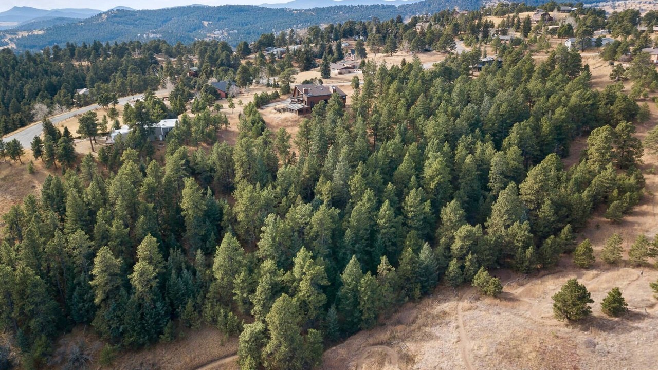 Photo of Outdoor in Golden