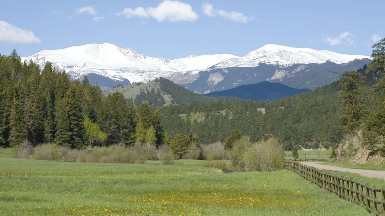 Photo of Outdoor in Golden