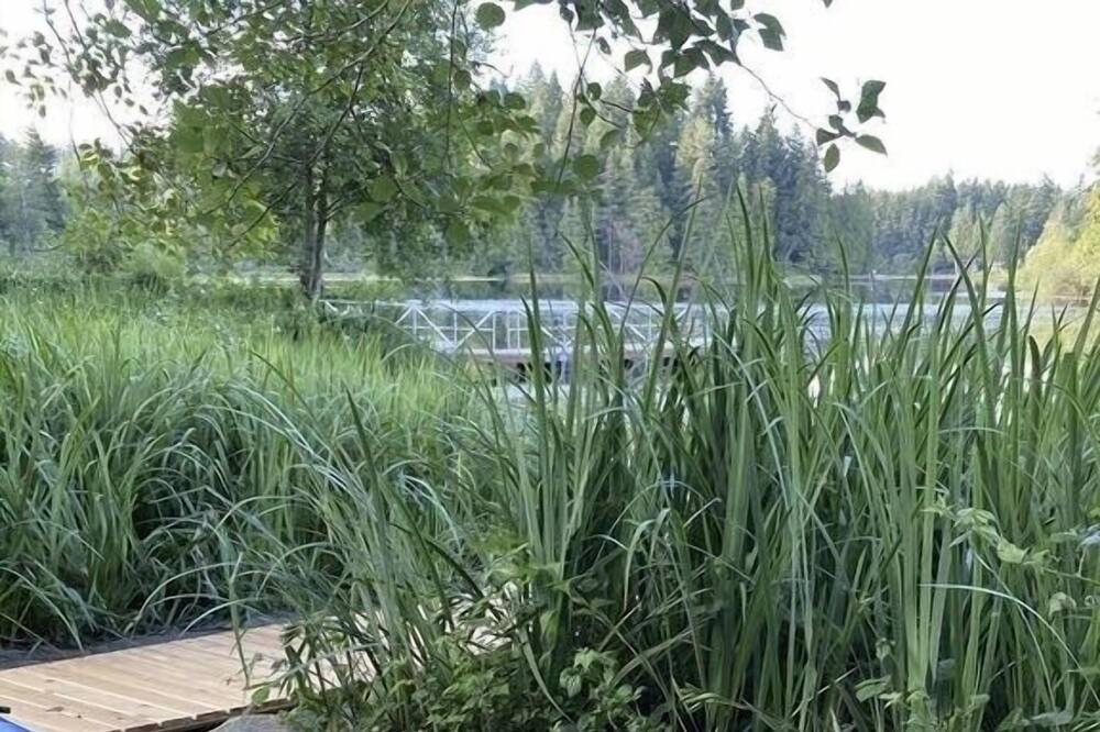 Photo of Outdoor in Silverdale