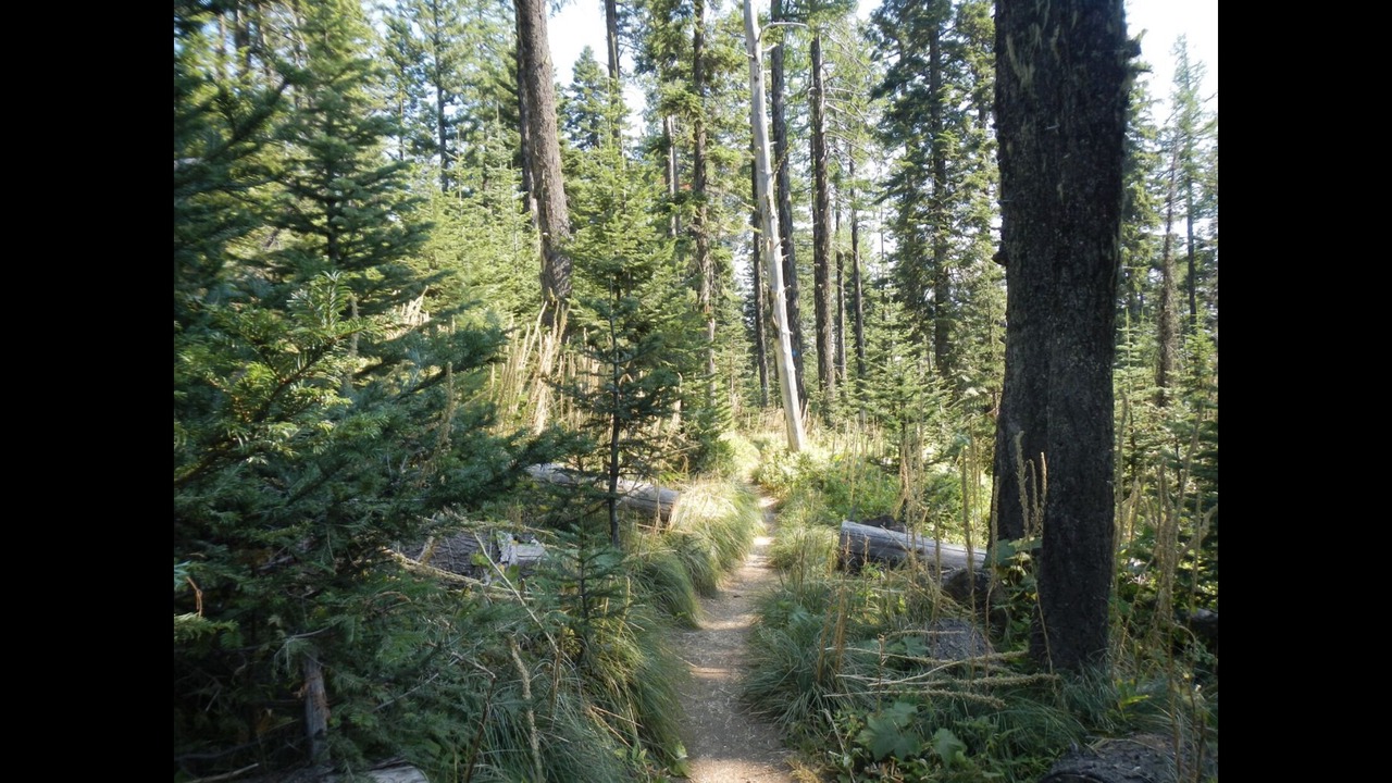 Photo of Outdoor in Mead